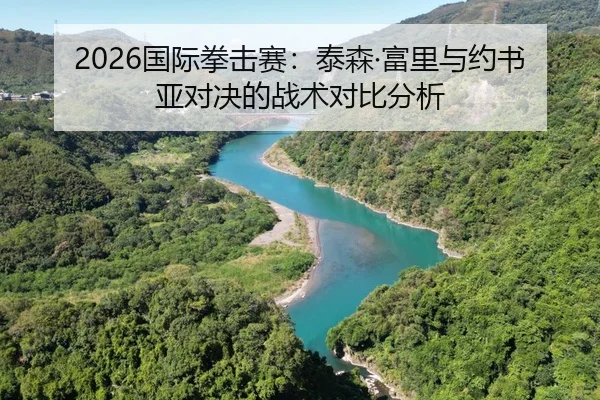 2026国际拳击赛：泰森·富里与约书亚对决的战术对比分析