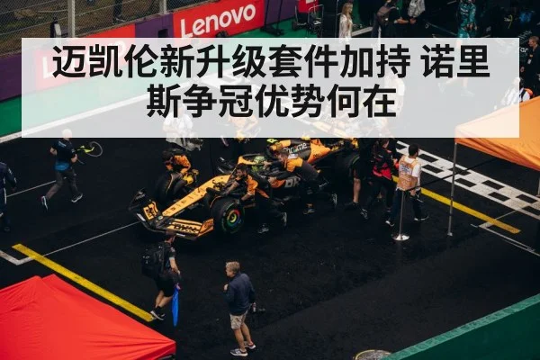 F1 pit stop strategy