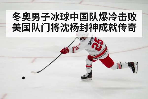 ice hockey action shot